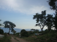 DSC09141