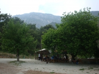 DSC09142