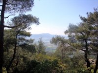 DSC08688