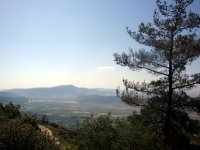 DSC08697