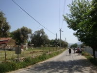DSC01193