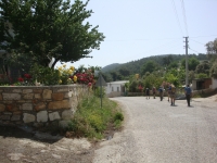 DSC01197
