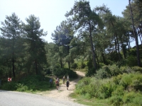DSC01202