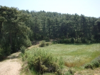 DSC01214