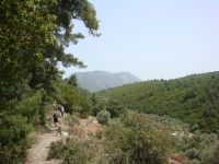 DSC01226