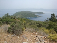 DSC01236