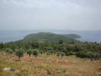 DSC01240