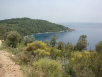DSC01241