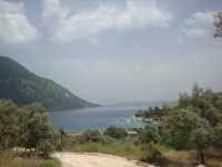 DSC01242