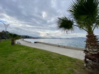 IMG_0007