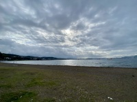 IMG_0009