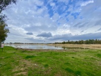 IMG_0011