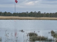 IMG_0016
