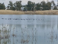 IMG_0018
