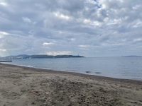 IMG_0029