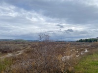 IMG_0036