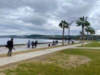 IMG_9985