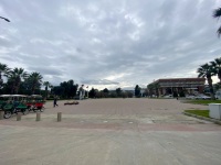 IMG_9988