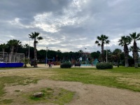 IMG_9989