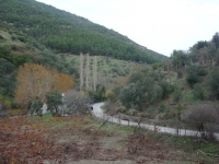 DSC09388