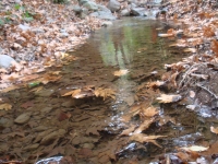DSC09405