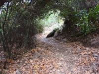 DSC09409