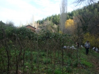 DSC09415