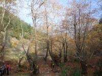DSC09424