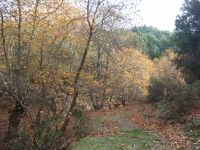 DSC09425