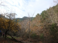 DSC09429