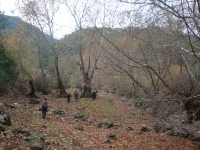 DSC09435