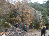 DSC09436
