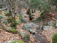 DSC09441