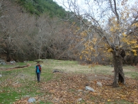 DSC09449