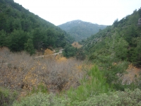 DSC09450