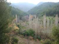 DSC09458