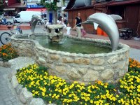 DSC04820