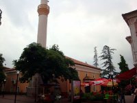 DSC04908