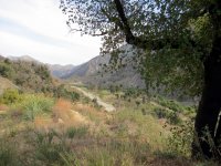 IMG_4246