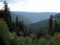 Kastamonu-Ilgaz