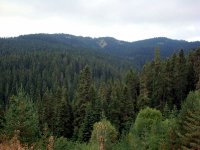 Kastamonu-Ilgaz