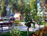 Taşköprü