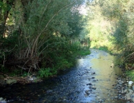 Kese Köyü