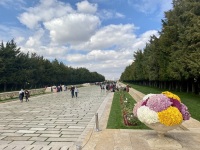 IMG_0889