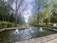 IMG_4349