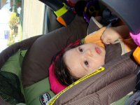 DSC03401