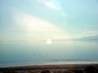 DSC03409