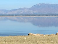 antelope-island-small