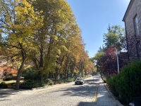 IMG_0967