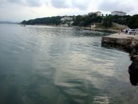 DSC04266